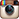 instagram link